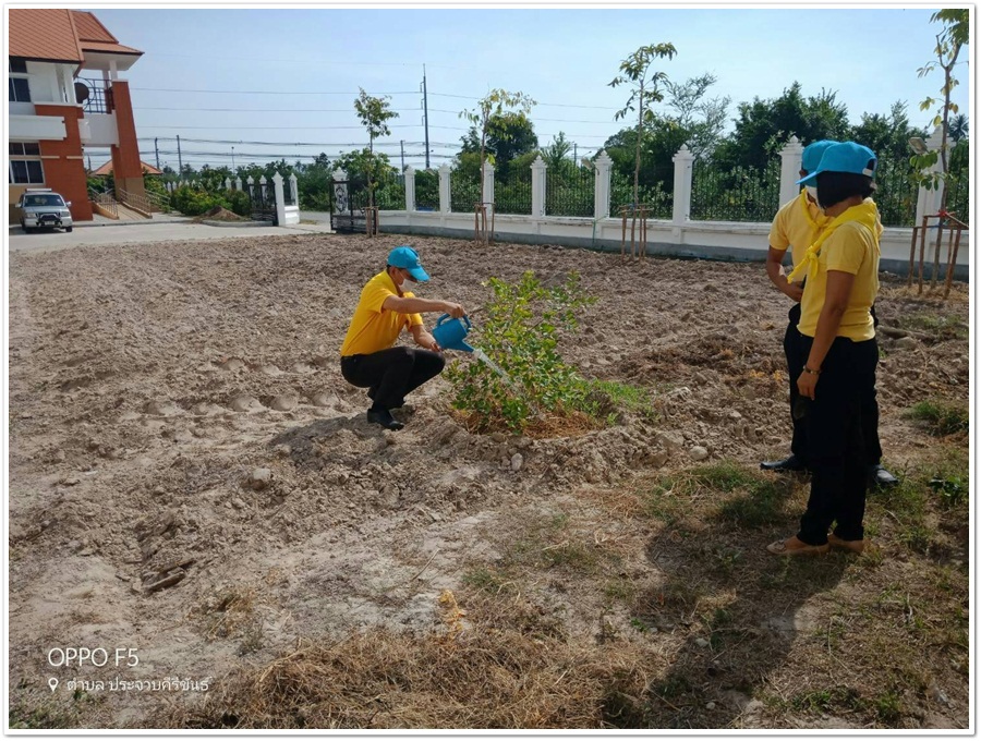﻿สำนักงานบังคับคดีจังหวัดประจวบคีรีขันธ์ จัดกิจกรรมปลูกต้นไม้ประจำปีของชาติ